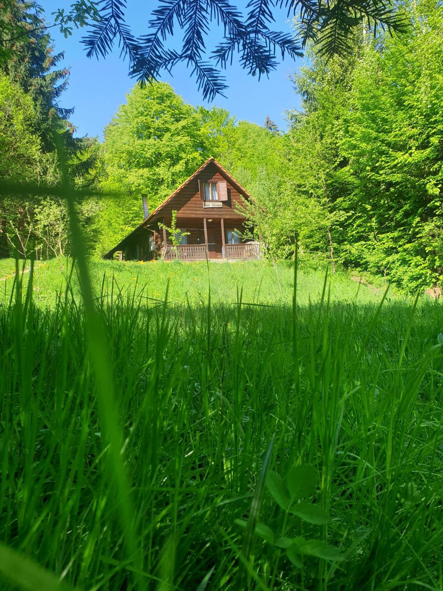 Casa Lacramioara Sîmbăta de Sus Exterior foto