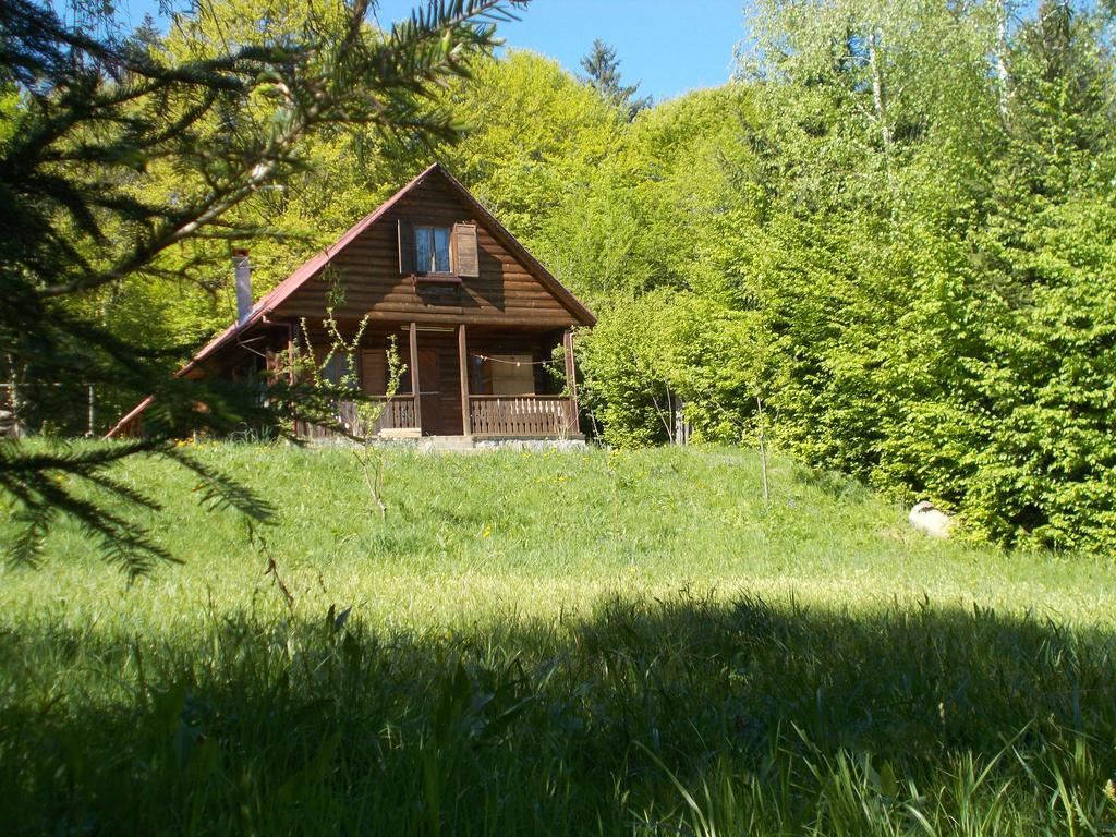 Casa Lacramioara Sîmbăta de Sus Exterior foto