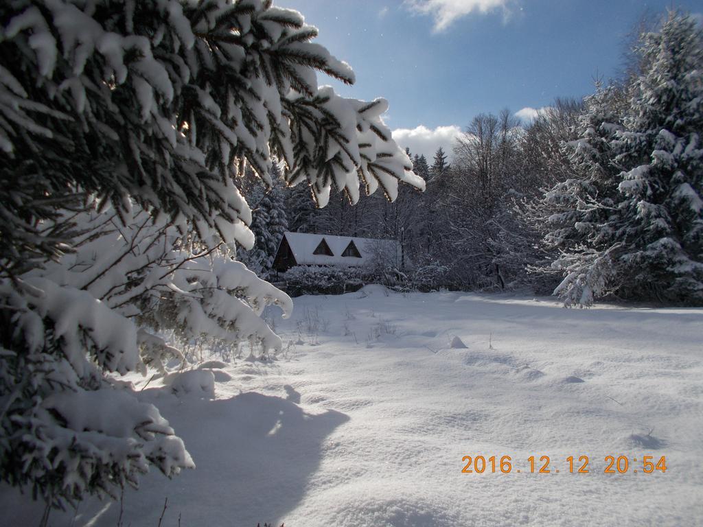 Villa Casa Lacramioara Sîmbăta de Sus Exterior foto